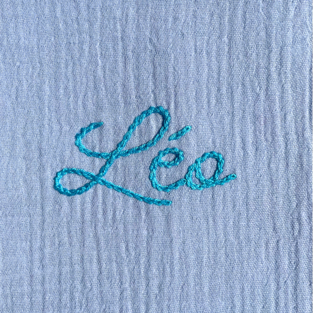 PROTEGE CARNET DE SANTE - BLEU